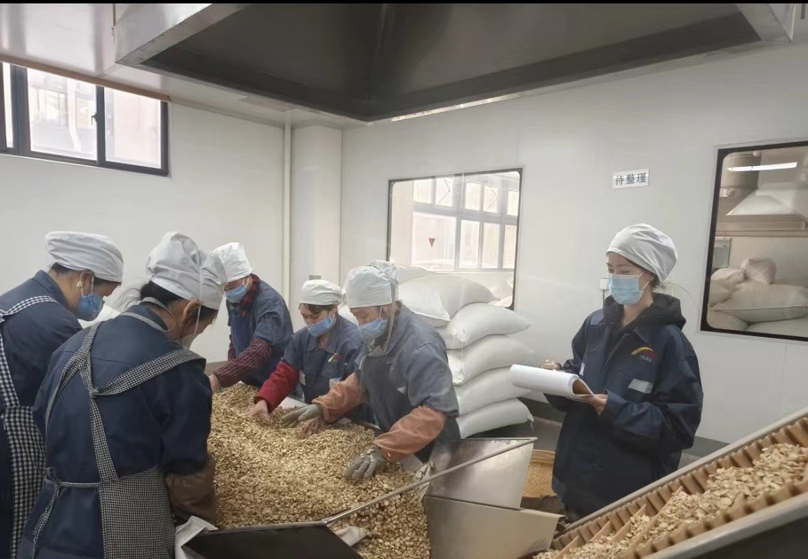 Qingdao BiOHoer Biotech Co., Ltd. oficiálne začal výstavbu